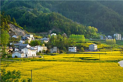 宅基地证去哪能办贷款-土流网