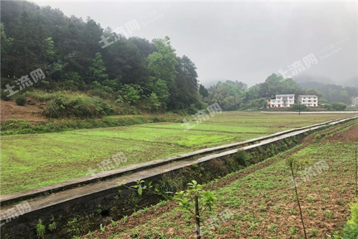 农村土地纠纷该找哪个部门