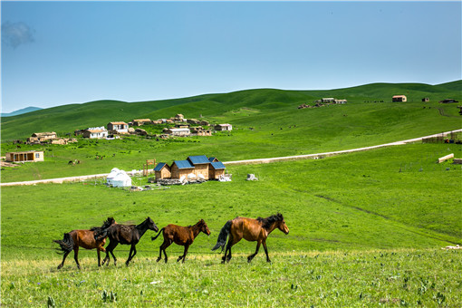新疆阿克苏市集体经济创收益-摄图网