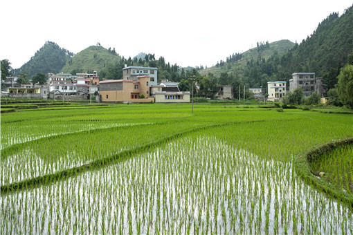 土地確權和老土地證不符怎麼樣處理拿到證後需要注意什麼