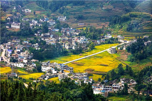 土地确权的基本原则和依据是什么-摄图网