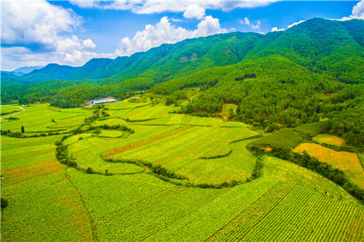 红河州农村集体产权制度改革-摄图网