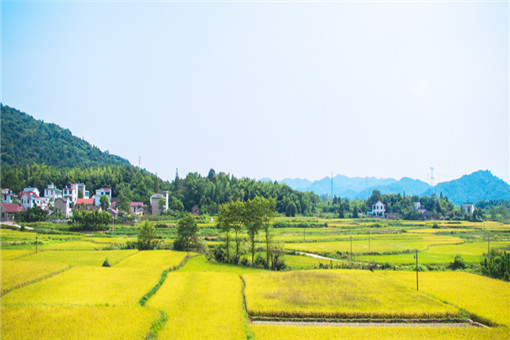 宅基地产权证是什么-摄图网