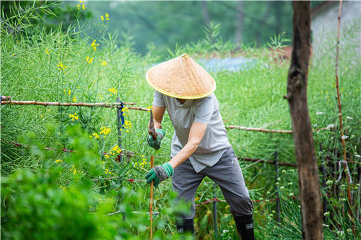 2020年江西省对被征地农民的保障政策-摄图网