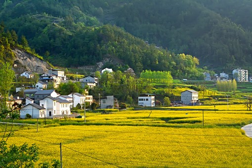 农村土地属于组上还是村集体-摄图网