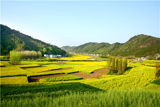 土地确权遇到有争议的地又该如何处理呢-摄图网