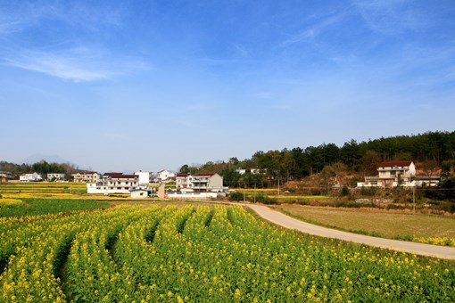 土地承包经营权包括林地吗-摄图网