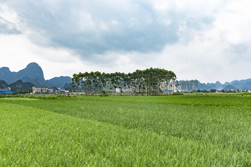 目前我國對水災淹沒農田是沒有補貼政策的,但是一旦某地發生水災,國家