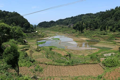 土地没到期被村里提前承包给别人-摄图网