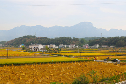 农村宅基地土地证变更名字-摄图网