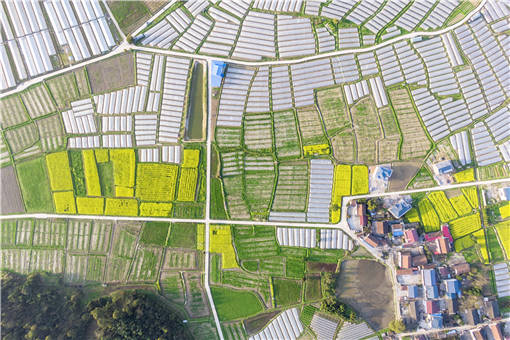 尖山区发展壮大村级集体经济建设项目-摄图网