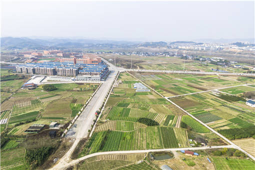 宝山区七星镇举行发展壮大村级集体经济大会-摄图网