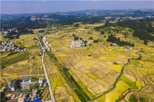 桦南县在全省发展壮大农村集体经济会议上做典型经验交流-摄图网
