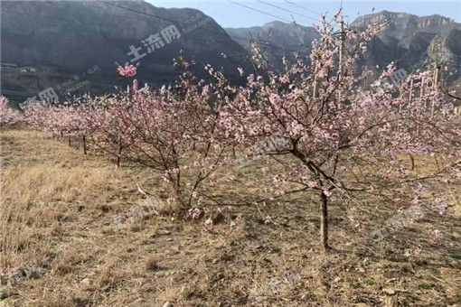 山西临汾浮山县农村集体产权制度改革工作时间节点及任务目标