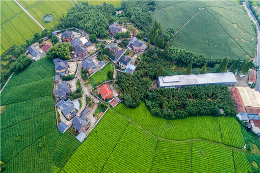 望奎县农村集体产权制度改革-摄图网