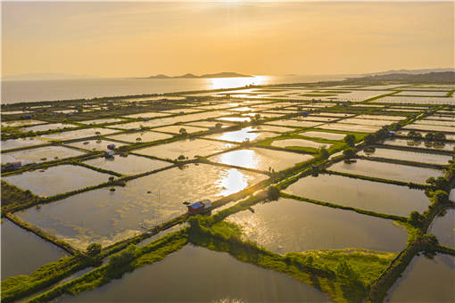 基本保护农田地里能搞水养殖吗-摄图网