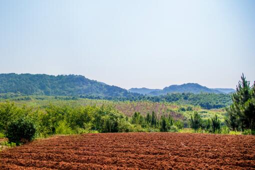 2021年农村土地确权登记政策有哪些-摄图网