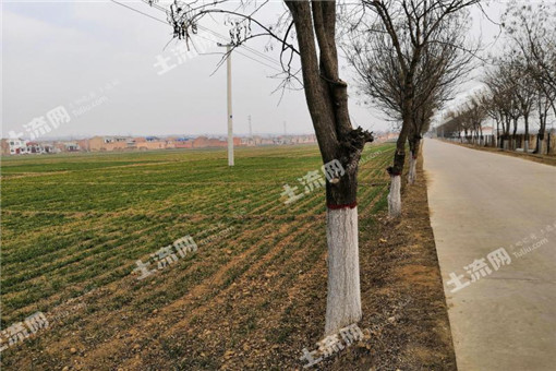 陕西榆林清涧县农村产权制度改革市级核查评估工作座谈会召开