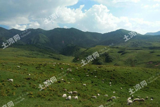 甘肃定西渭源县阶段性地完成了农村产权制度改革工作任务