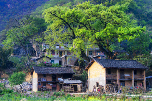 同村村民互换宅基地合法吗-摄图网