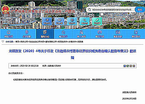龙胜镇农村集体经济组织成员身份确认的指导意见-官网截图
