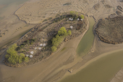 农村河滩地收回补偿标准介绍河滩地属于什么性质的土地