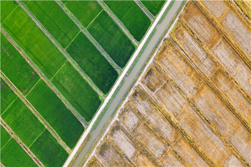 农户托管土地有哪些流程-摄图网