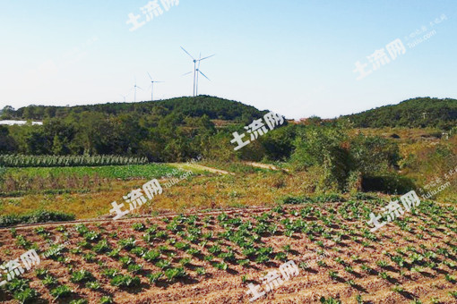 长海县獐子岛镇东獐子社区召开农村产权改革第七次居民代表会议