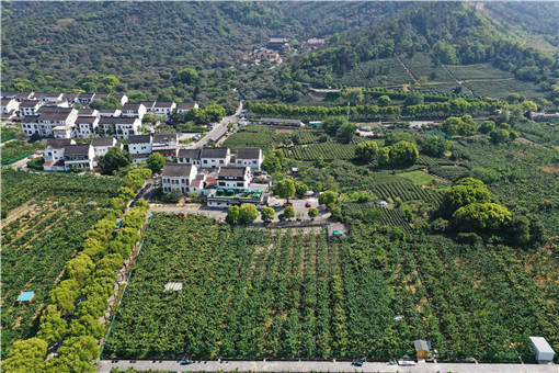 大祥区重拳整治违法用地严守耕地红线-摄图网