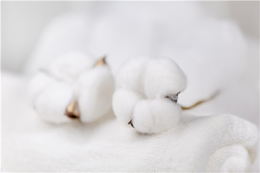 新疆种棉花最忙的时候是何时 种植新疆棉花需要满足什么条件 农交网