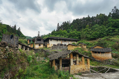 闽侯甘蔗大元村图片